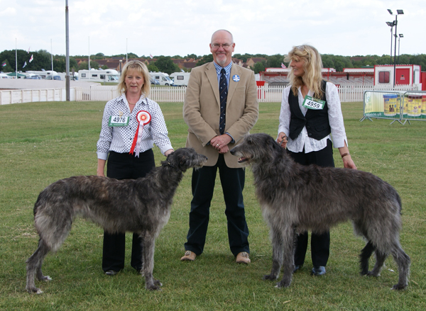 BOB & BOS Deerhound Club Breed Show 2011